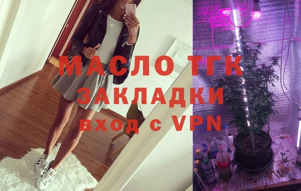 амф Гусь-Хрустальный