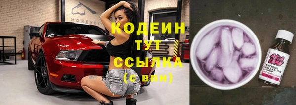 амф Гусь-Хрустальный