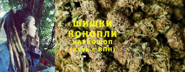 ГАЛЛЮЦИНОГЕННЫЕ ГРИБЫ Дмитриев