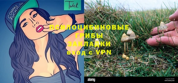 ГАЛЛЮЦИНОГЕННЫЕ ГРИБЫ Дмитриев