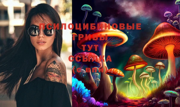 таблы Дмитровск