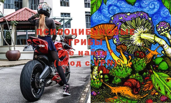 таблы Дмитровск