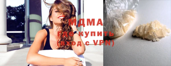 ГАЛЛЮЦИНОГЕННЫЕ ГРИБЫ Дмитриев