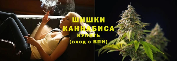 ГАЛЛЮЦИНОГЕННЫЕ ГРИБЫ Дмитриев