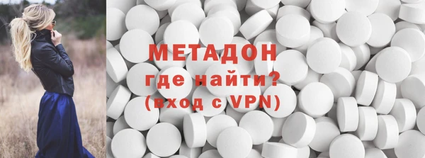 ГАЛЛЮЦИНОГЕННЫЕ ГРИБЫ Дмитриев