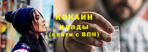 амф Гусь-Хрустальный