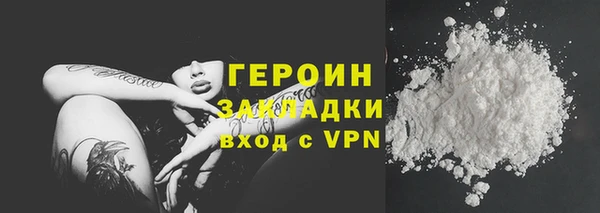 ГАЛЛЮЦИНОГЕННЫЕ ГРИБЫ Дмитриев