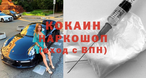 амф Гусь-Хрустальный