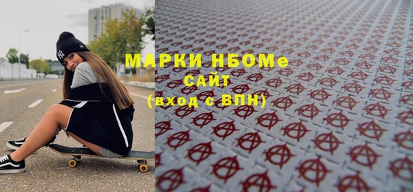 ГАЛЛЮЦИНОГЕННЫЕ ГРИБЫ Дмитриев