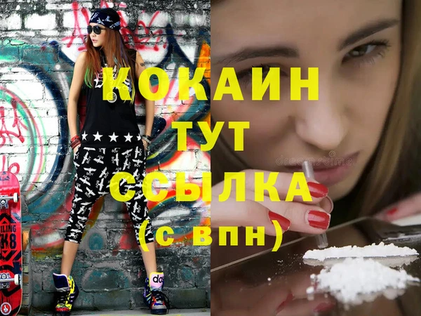 ГАЛЛЮЦИНОГЕННЫЕ ГРИБЫ Дмитриев