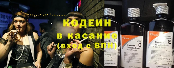 ГАЛЛЮЦИНОГЕННЫЕ ГРИБЫ Дмитриев