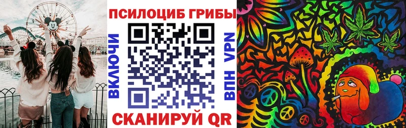 Псилоцибиновые грибы прущие грибы  Купить закладки  Очёр 